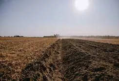 Фермер з 2014 року розорював одне з найбільших поселень трипільської культури