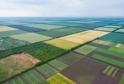 На державних аукціонах оренда землі зросла у 8 разів: що це означає для аграріїв