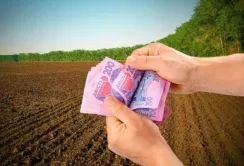 Нібулон виплатить орендну плату за землю, яку він не мав можливості обробляти