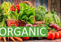 Виробники органічної продукції Рівненщини отримали компенсацію від адміністрації