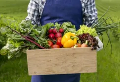 Україна — один з найбільших постачальників органічної продукції до ЄС