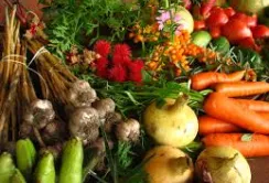 В Україні запрацює реєстр виробників органічної продукції