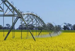 На Херсонщині офіційно стартував зрошувальний сезон