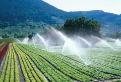 Україна може запропонувати Ізраїлю рішення в галузі зрошення