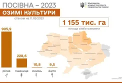Осіння посівна у розпалі – засіяно майже 1,2 млн га