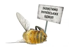У Держпродспоживслужбі розповіли, як уникнути отруєння бджіл пестицидами