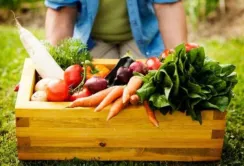 Львівські фермери розширюють асортимент