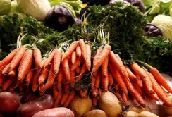 Які овочі планують вирощувати фермери – результати опитування