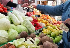 До нового сезону овочі подорожчають ще на 15%, – Денис Марчук