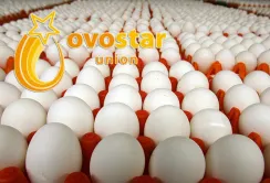 Ovostar Union має намір купити польський птахокомплекс
