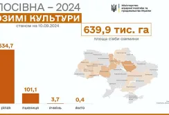 Озимий ріпак сіють вже у 18-ти областях