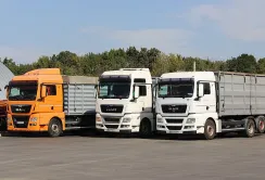 ГК «ПАЕК» з початку року перевезла 300 тисяч тонн агропродукції