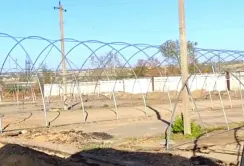ПАЕК продовжує розвивати тепличне господарство