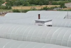 ПАЕК розвиває тепличне господарство
