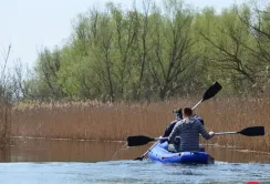 На Херсонщині не розводитимуть дичину для відстрілу мисливцями