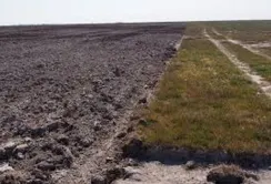 Суд повернув громаді пасовище, яке розорав фермер