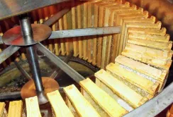 На Хмельниччині створять школу бджільництва для воїнів АТО