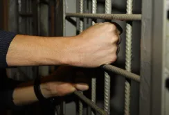На Запоріжжі сільгосппідприємство "забуло" сплатити 3,2 млн грн ПДВ