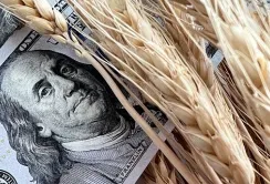 Аграрії виступили проти запровадження 14% ПДВ на експорт агропродукції