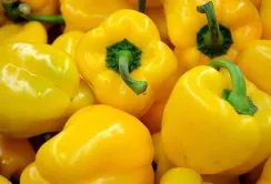 Ціна на український перець впаде на початку осені