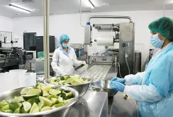 Україна збільшить переробку: $90 млрд інвестицій та підтримка для виробників