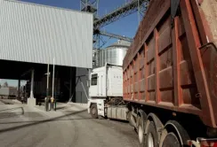 Перевезення агропродукції скоротиться удвічі, – думка експерта