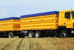 Логістика зерна: ситуація залишається нестабільною