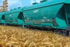 Вартість перевезення зерна Укрзалізницею знижується