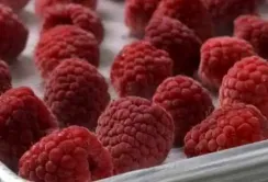 Польські фермери заблокували підприємство із заморозки малини