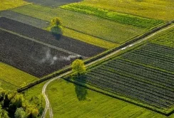 Підсобне господарство на 1 млрд грн: на Хмельниччині повернули громаді 300 га землі