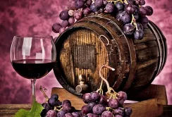 Новий законопроект сприятиме підвищенню якості виноробної продукції