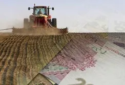 Державними доступними кредитами скористалися 4200 аграріїв