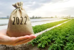 За 2022 рік аграрії отримали понад 70 млрд грн пільгових кредитів