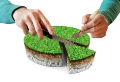 В Україні спостерігається феномен нерівномірного розподілу земельних угідь
