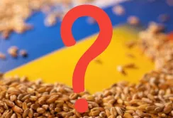 Експорт зерна відновився, але не все так однозначно