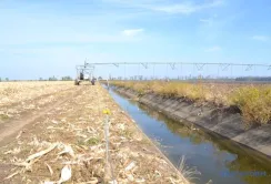 Без дніпровської води на звільнених землях вигідніше буде вирощувати фрукти та овочі, ніж зернові, –  Андрій Ярмак