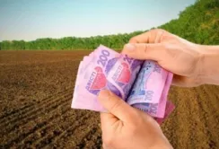Зміни щодо форми податкової декларації з плати за землю починають діяти з 1 січня