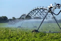 Площа зрошуваних земель у південних областях збільшилась на 6%