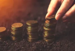 Через війну аграрії сплатили на 23,7% менше податків, ніж минулого року