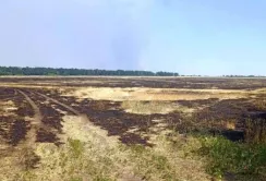 В Мінагрополітики роз’яснили зміни до Податкового кодексу стосовно деокупованих земель