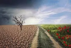 Українців знову чекає аномальна погода влітку
