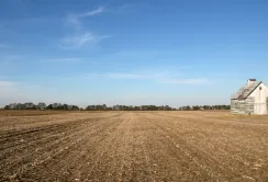 Аграрії вже отримали 1,5 млн грн за форвардною програмою. Ще 3,5 млн планується