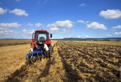 Український аграрій має інші переваги, ніж британський або німецький, - експерт