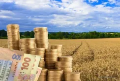Спецрежим по ПДВ потрібен не всім аграріям, - експерт НУБіП