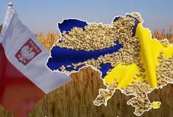 Чому Польща вирішила посилити контроль за українською агропродукцією