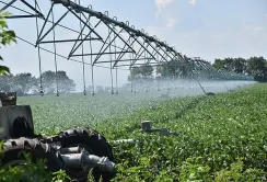 Полтавазернопродукт розвиває зрошення на Полтавщині: успіхи та виклики