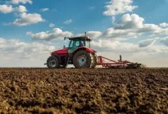 Аграрії Полтавщини засіяли понад 67 тис. га озимих зернових