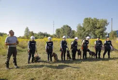Поля на Харківщині розміновуватимуть кінологині з собаками