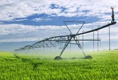В Україні зрошується лише 2,5% орних земель від потреби