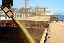 Попит на пшеницю в українських портах залишається високим